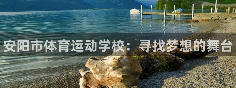 尊龙官网下载平台注册要钱吗安全吗:安阳市体育运动学校:寻找梦