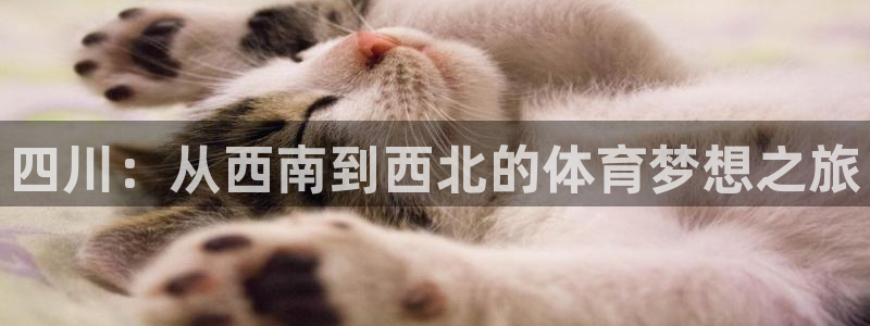 尊龙官方正版app娱乐平台:四川:从西南到西北的体育梦想之旅