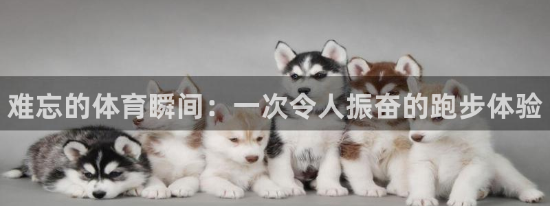 尊龙官方正版app集团简介:难忘的体育瞬间:一次令人振奋的跑