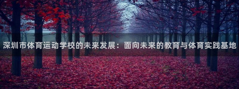 尊龙官网下载是干嘛的公司:深圳市体育运动学校的未来发展:面向