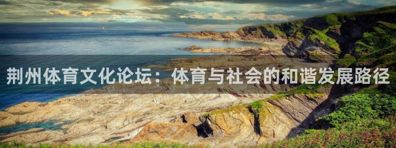 海南尊龙官网下载:荆州体育文化论坛:体育与社会的和谐发展路径